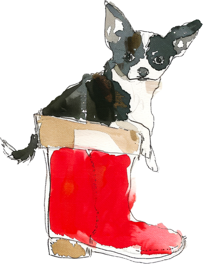 Dog Graphic